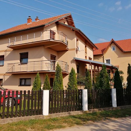Apartmani Tvins Sokobanja Exterior foto
