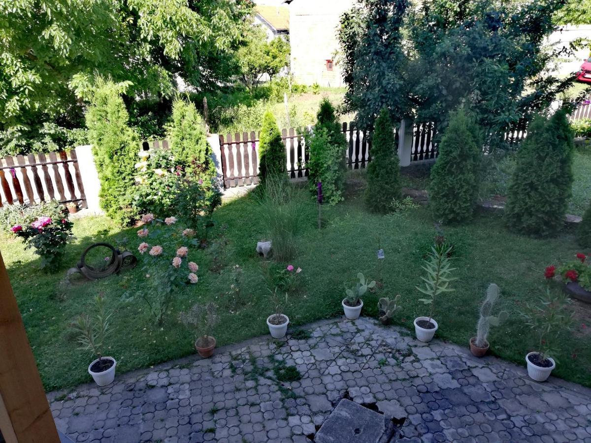 Apartmani Tvins Sokobanja Exterior foto