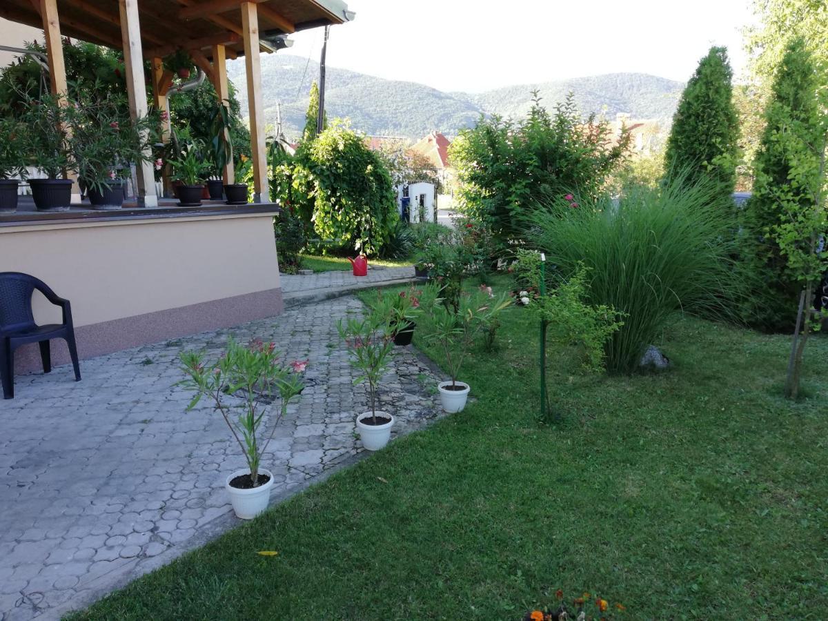 Apartmani Tvins Sokobanja Exterior foto