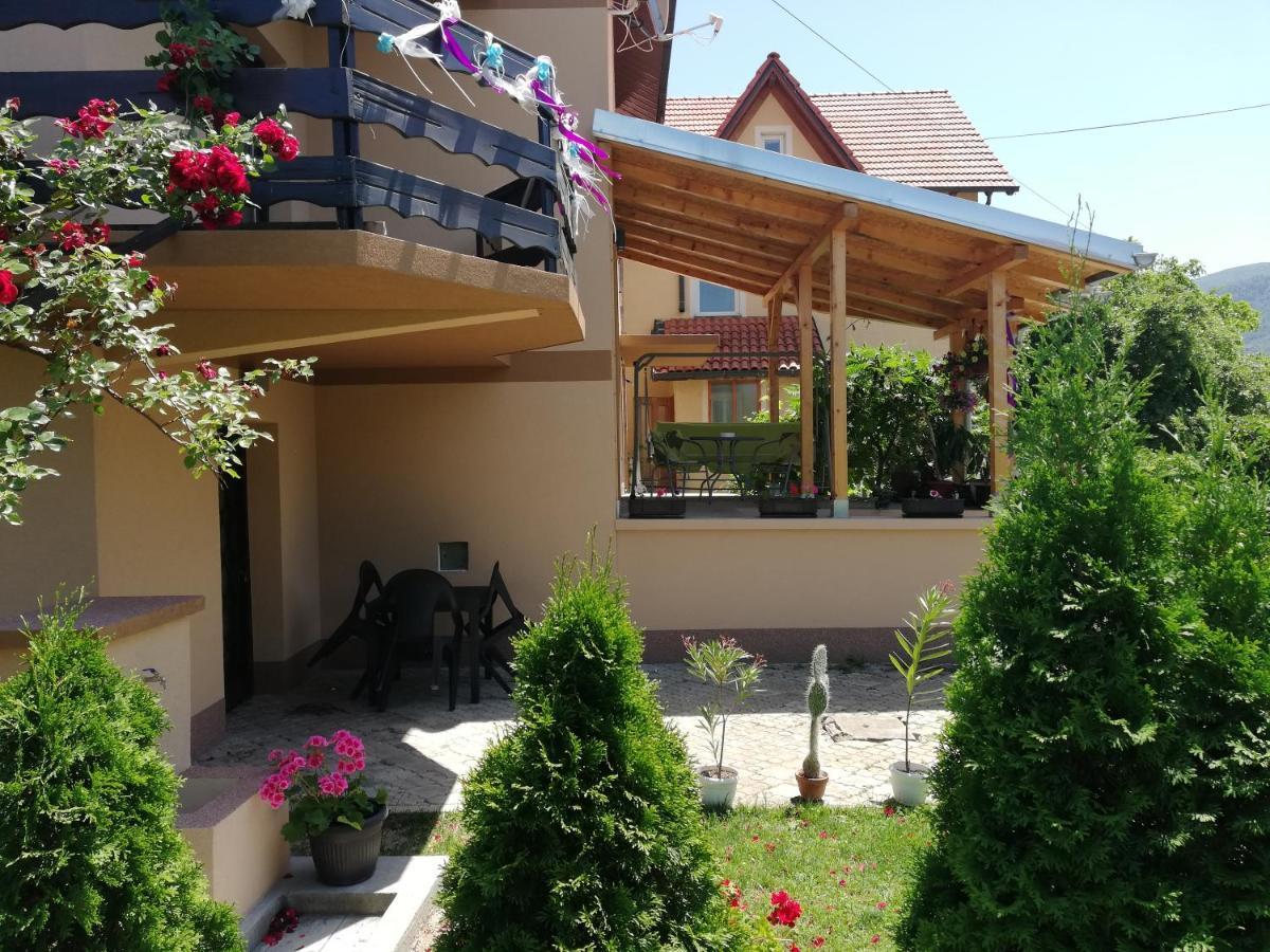 Apartmani Tvins Sokobanja Exterior foto