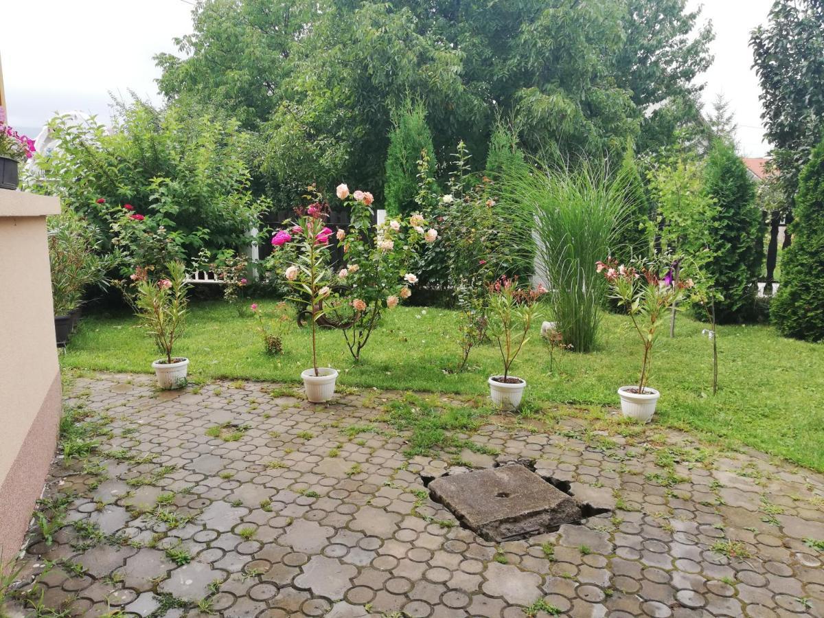 Apartmani Tvins Sokobanja Exterior foto