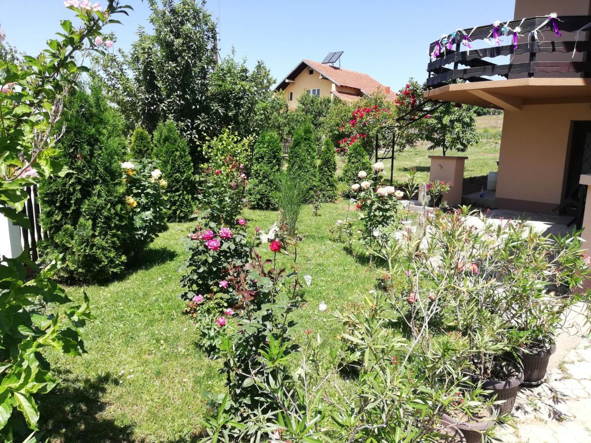 Apartmani Tvins Sokobanja Exterior foto